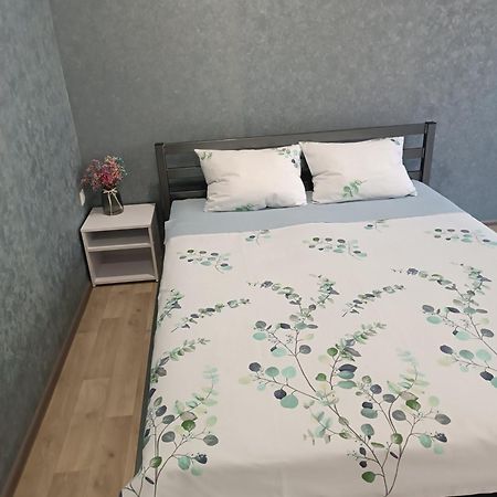 Две Уютные Квартиры В Центре Города Дзержинка - New Apartments Kryvy Rih Extérieur photo