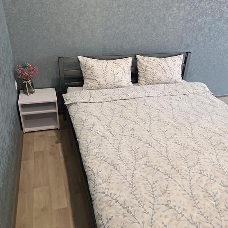 Две Уютные Квартиры В Центре Города Дзержинка - New Apartments Kryvy Rih Extérieur photo