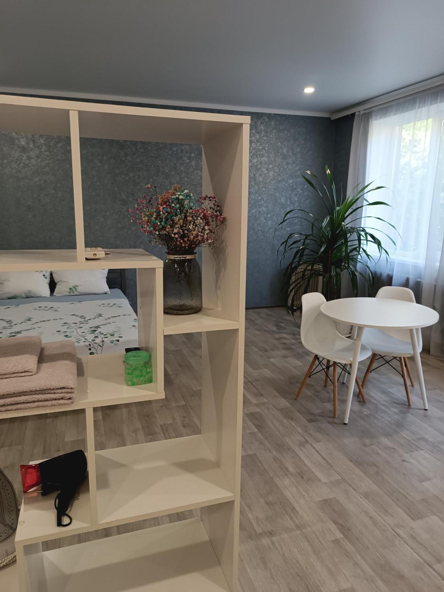 Две Уютные Квартиры В Центре Города Дзержинка - New Apartments Kryvy Rih Extérieur photo